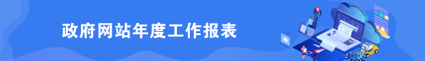 政府网站年度工作报表